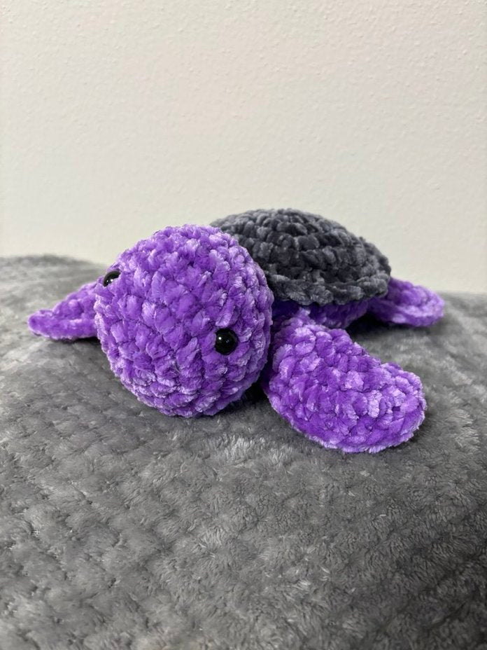 Sea Turtle