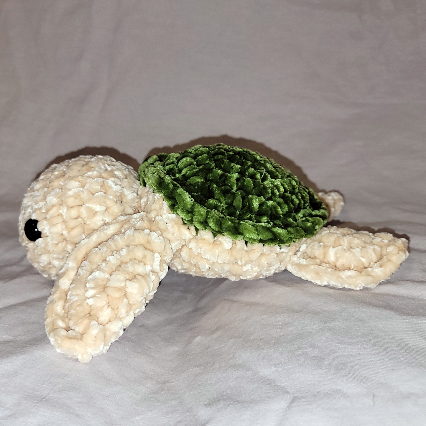 Sea Turtle